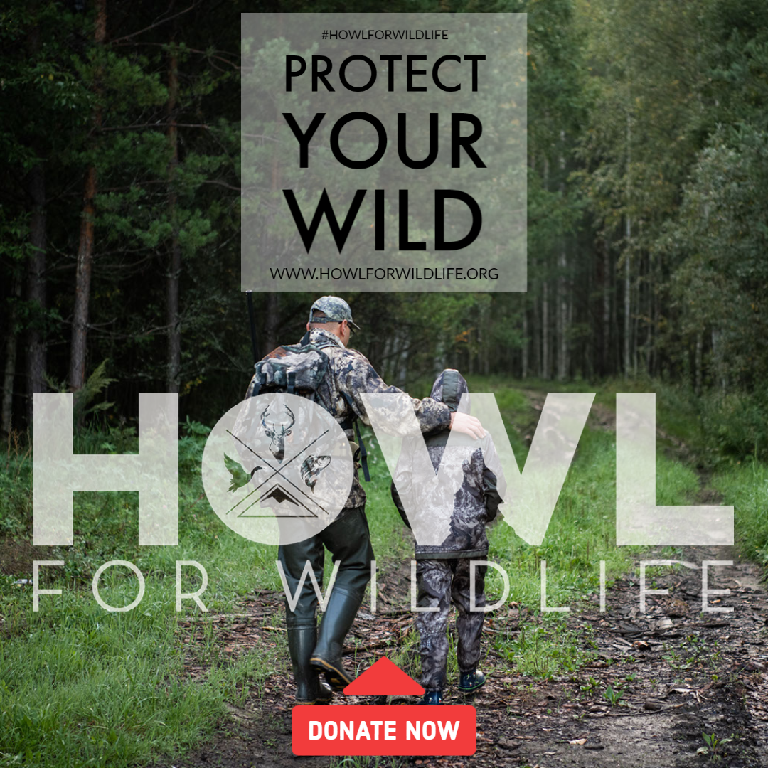 Donation Pop Up At Check Out