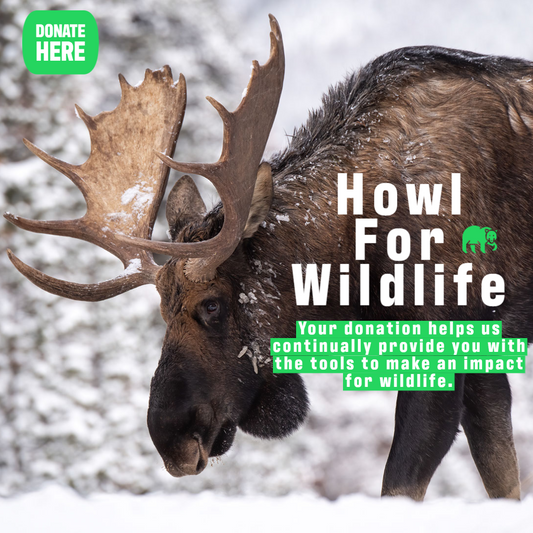 Make A Donation To Howl For Wildlife